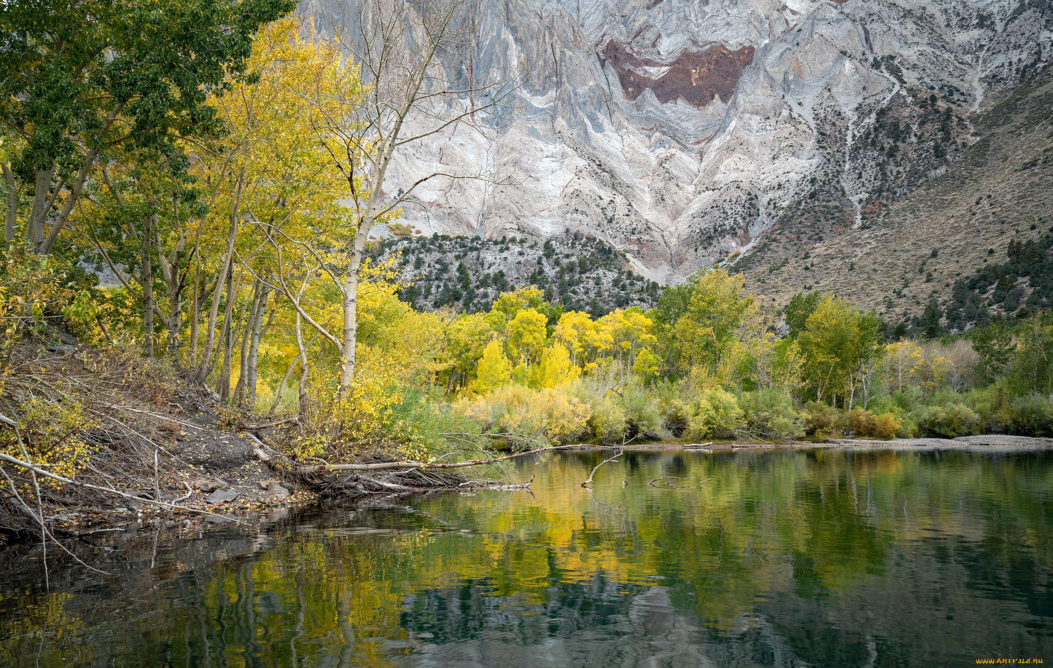 природа, реки, озера, простор