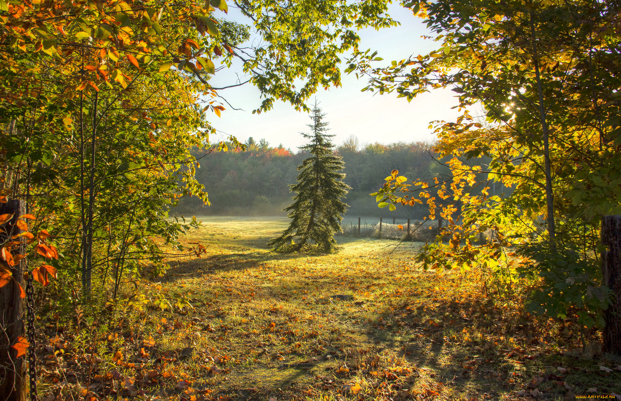 природа, пейзажи, простор