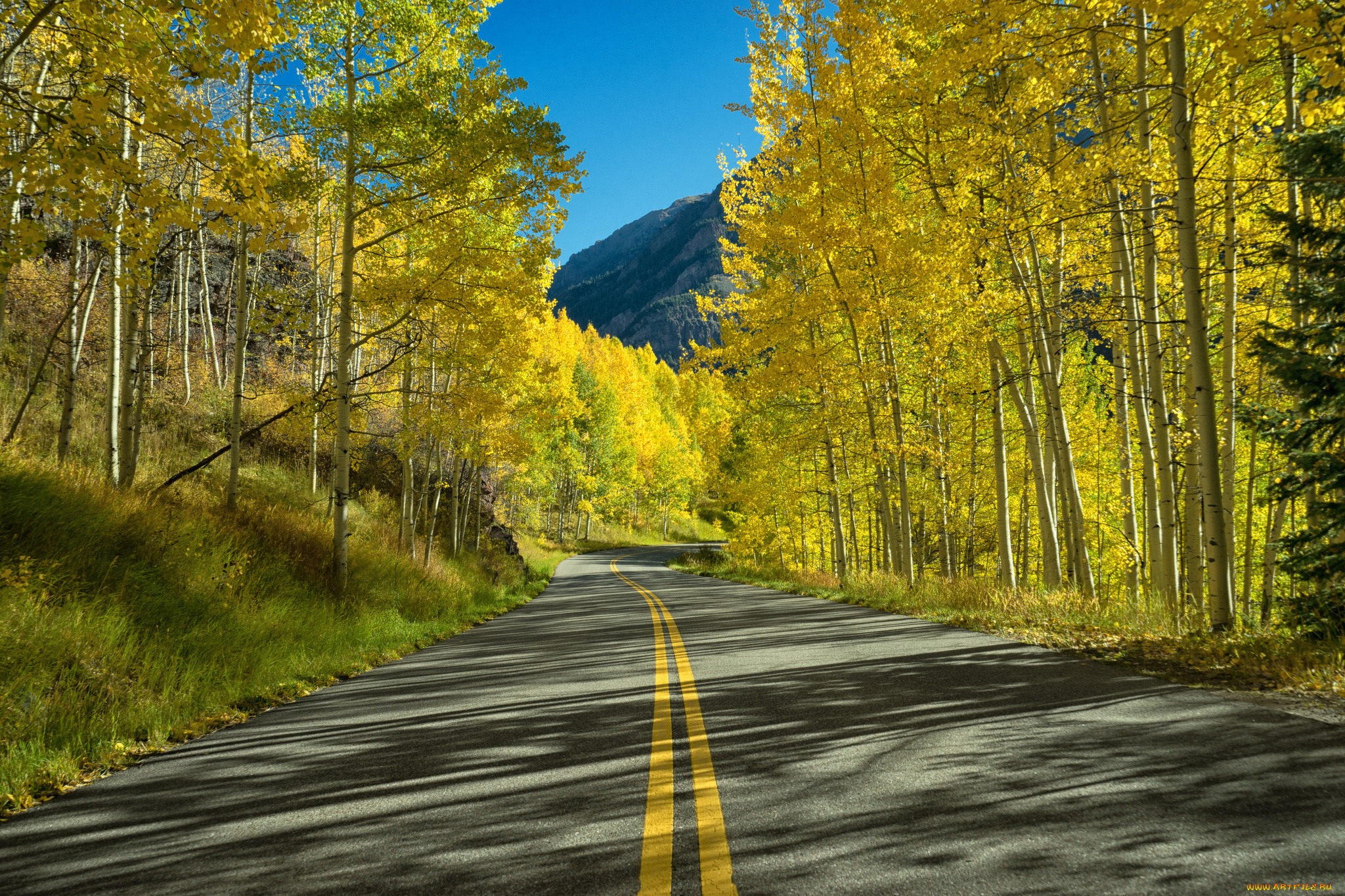 природа, дороги, простор