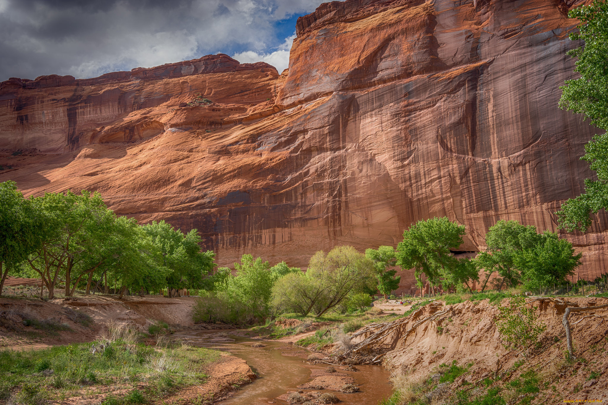 природа, горы, простор