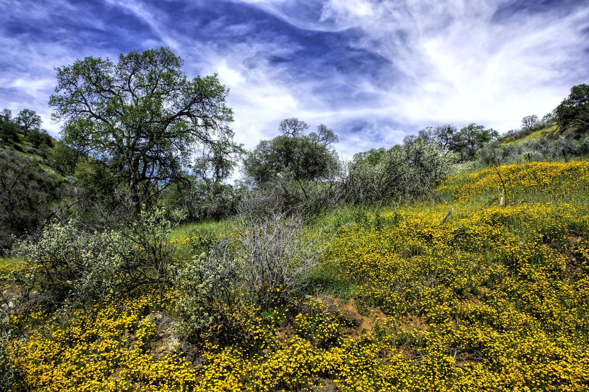 природа, пейзажи, простор