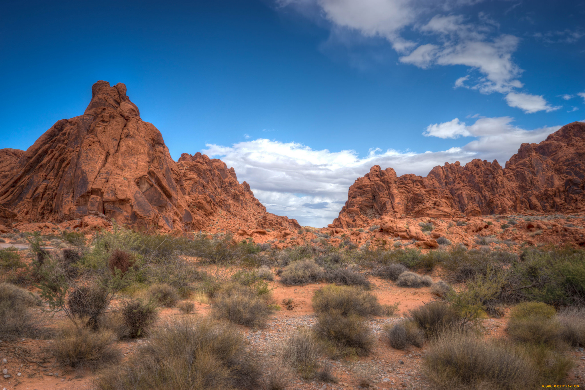 природа, пустыни, простор