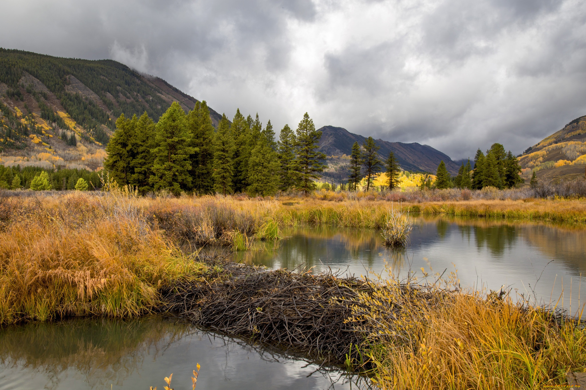 природа, реки, озера, озеро, осень