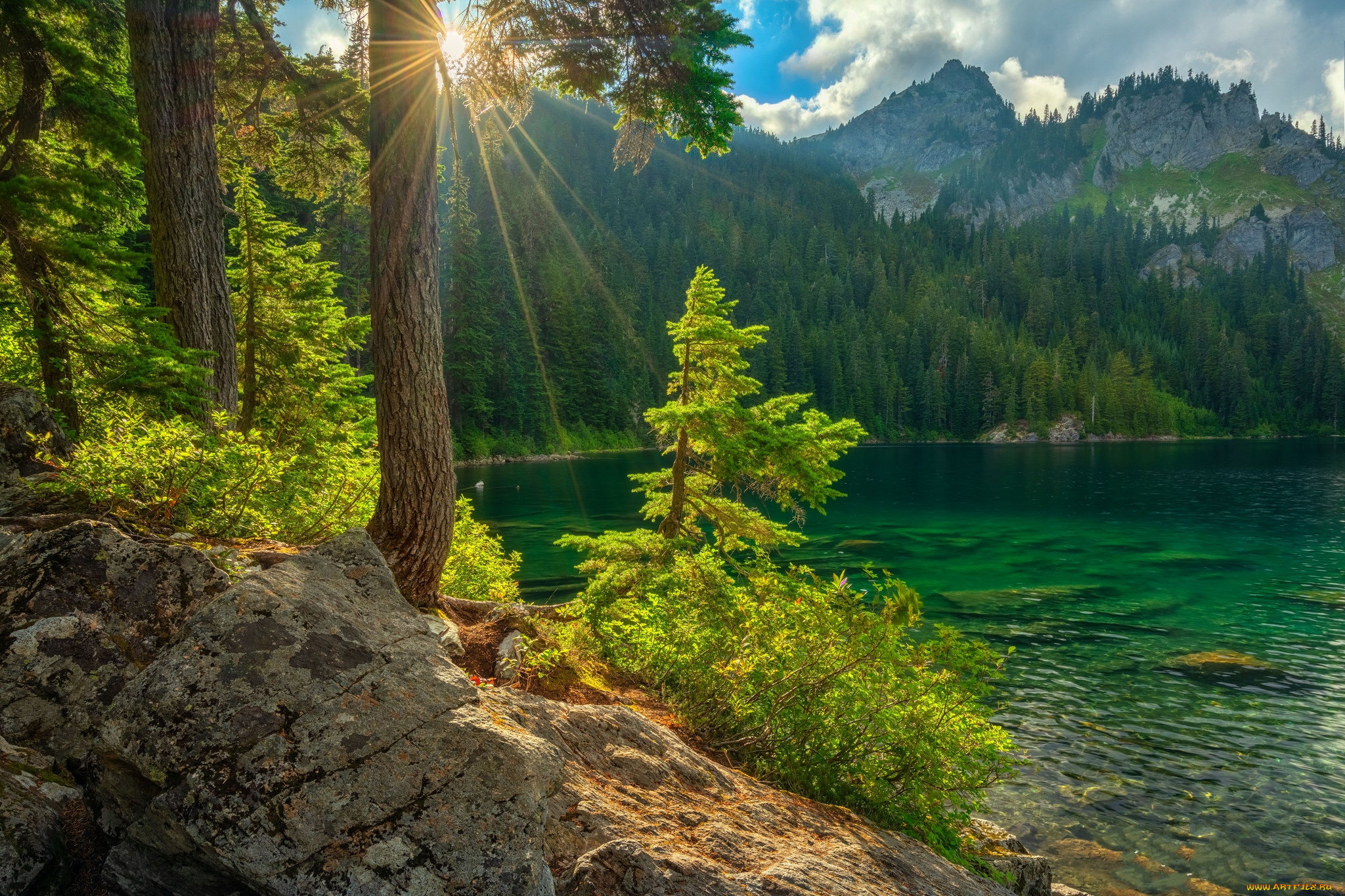 природа, реки, озера, простор