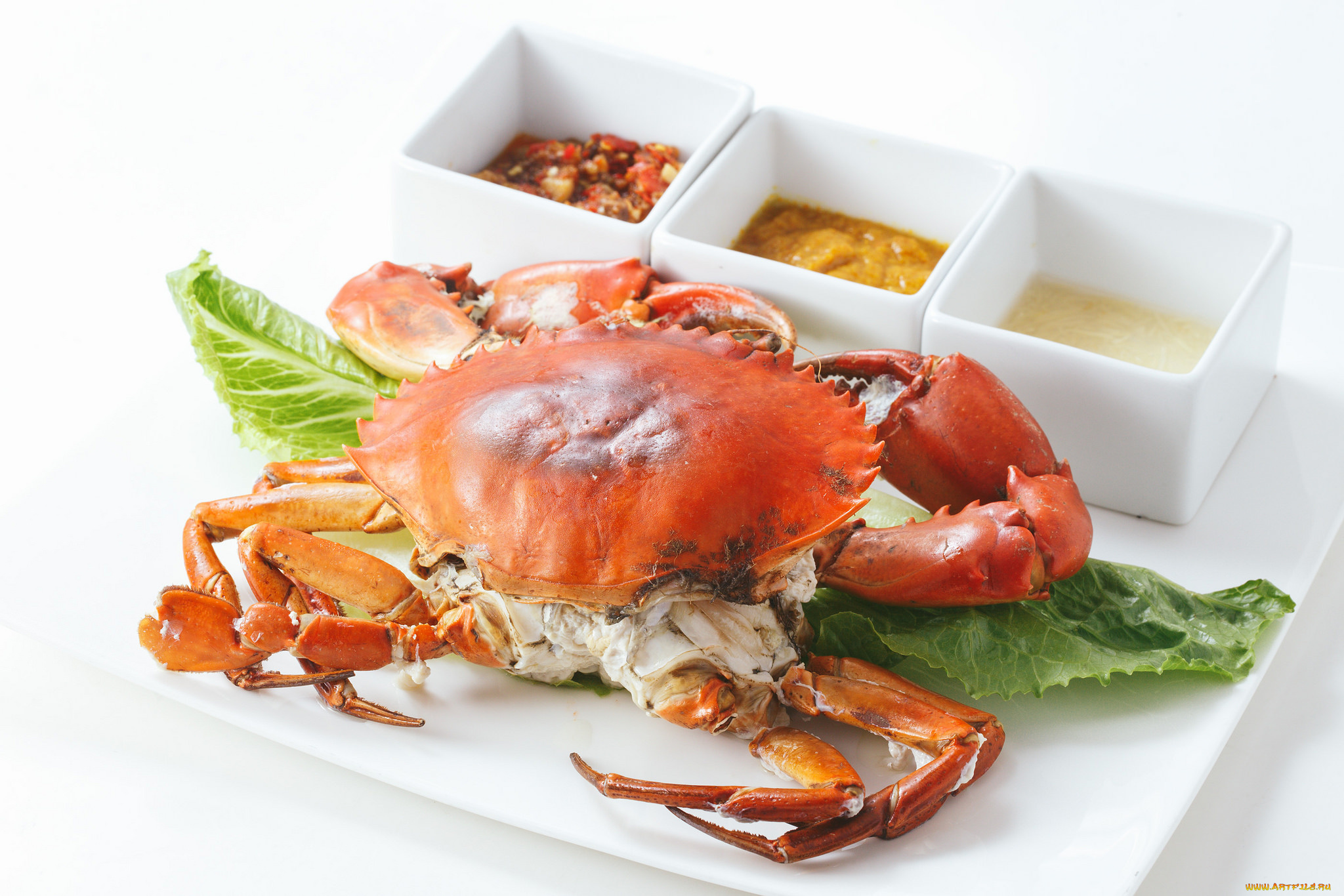 еда, салаты, , закуски, снедь