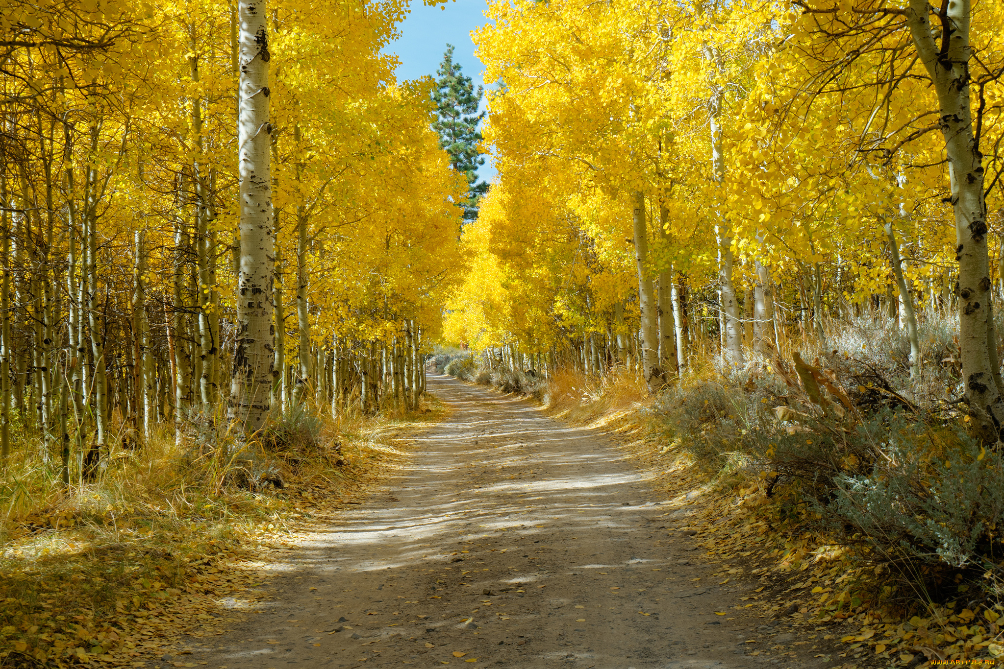 природа, дороги, простор