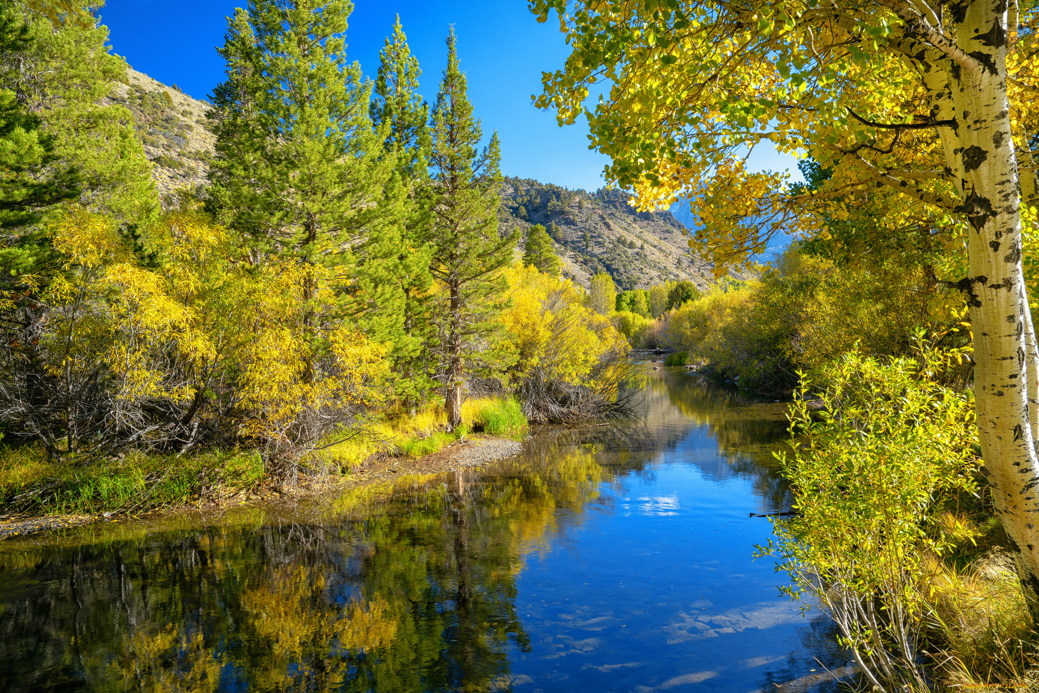 природа, реки, озера, простор