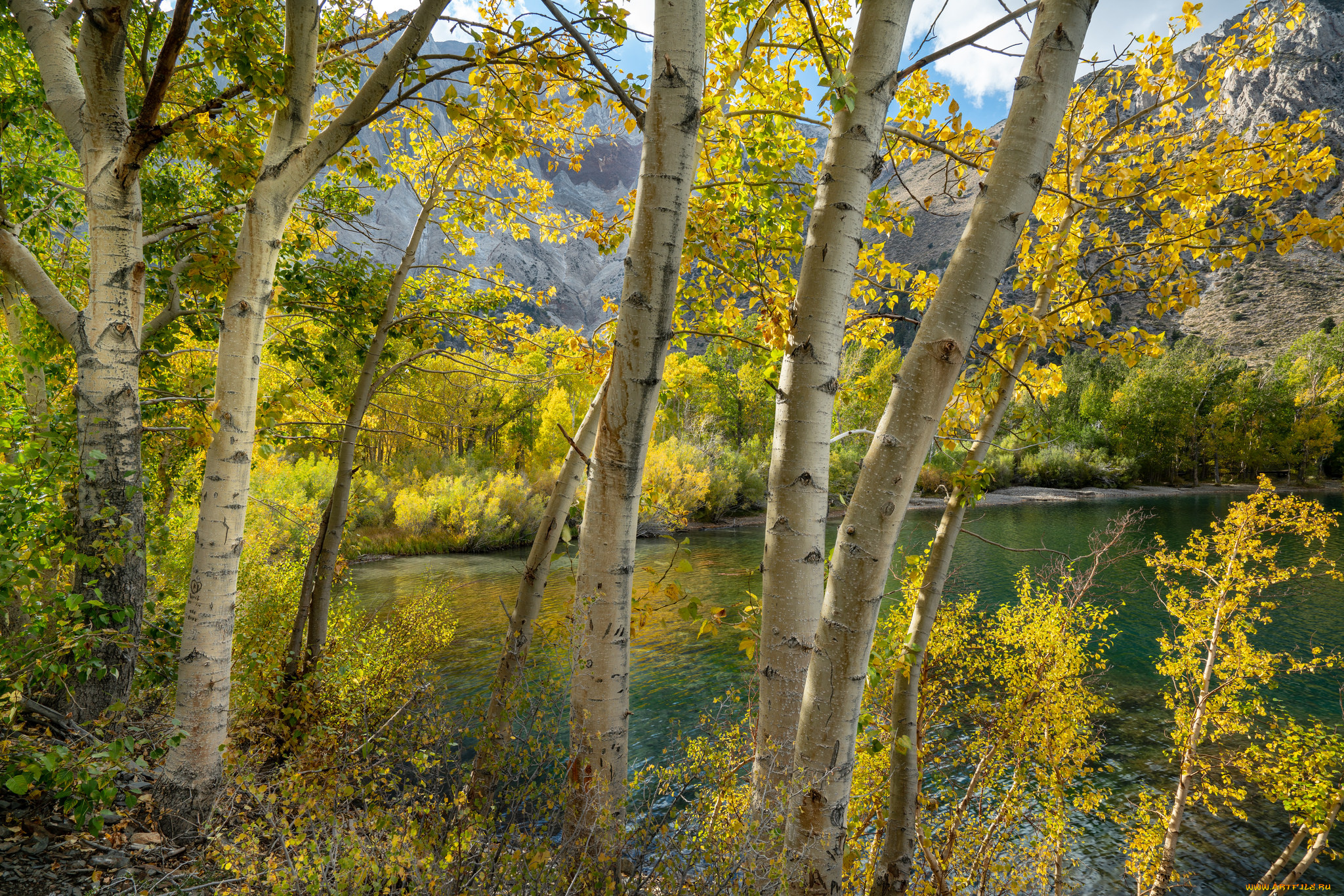 природа, реки, озера, простор