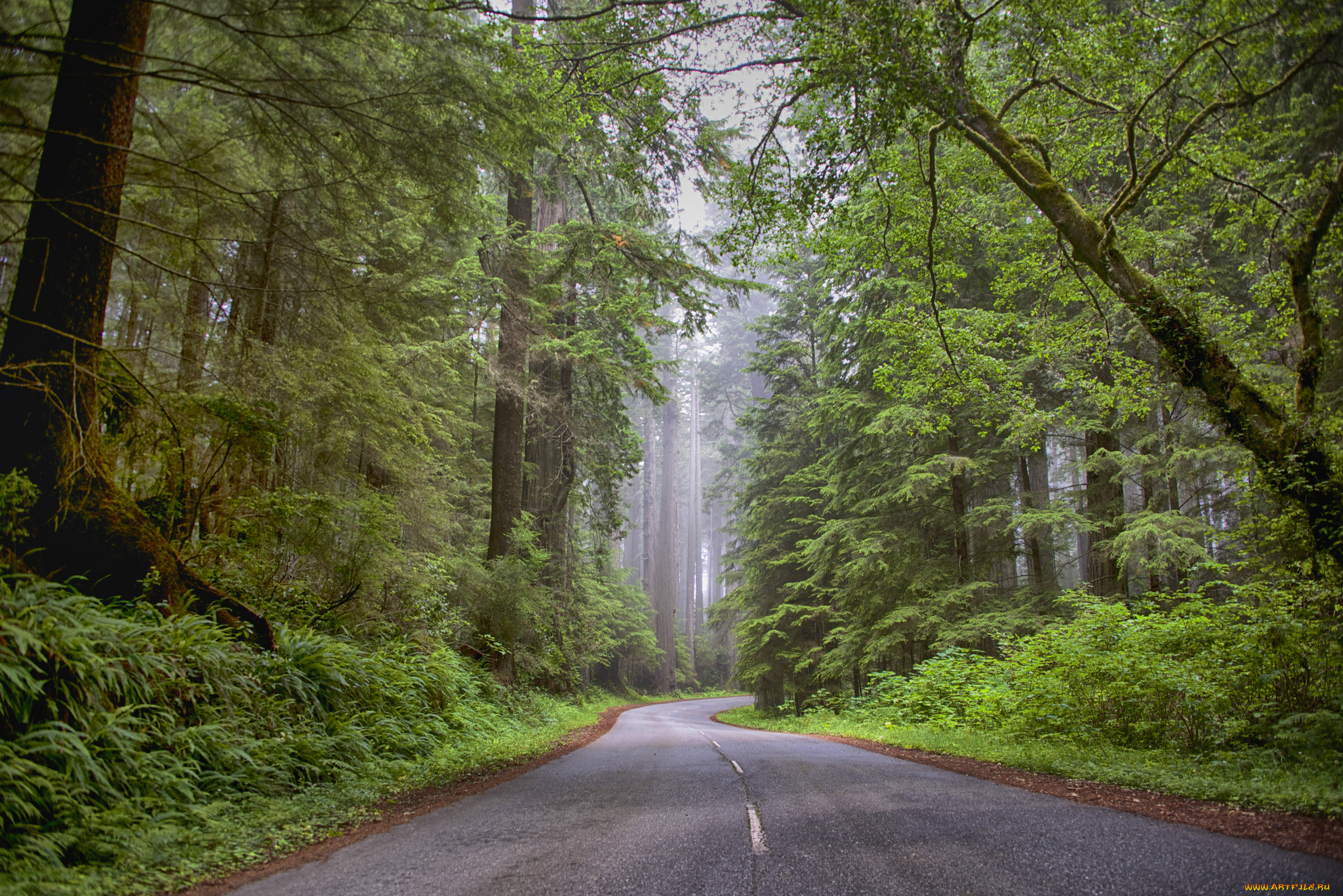 природа, дороги, простор