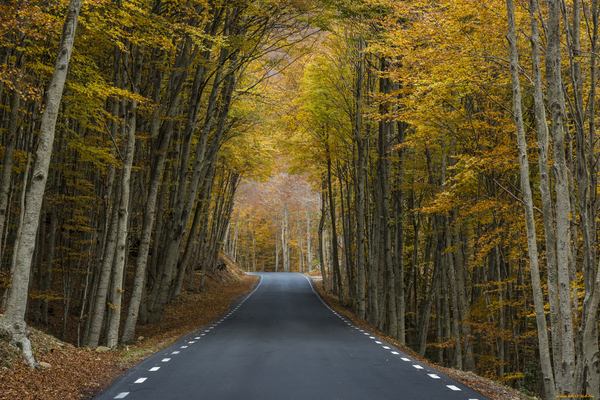 природа, дороги, простор