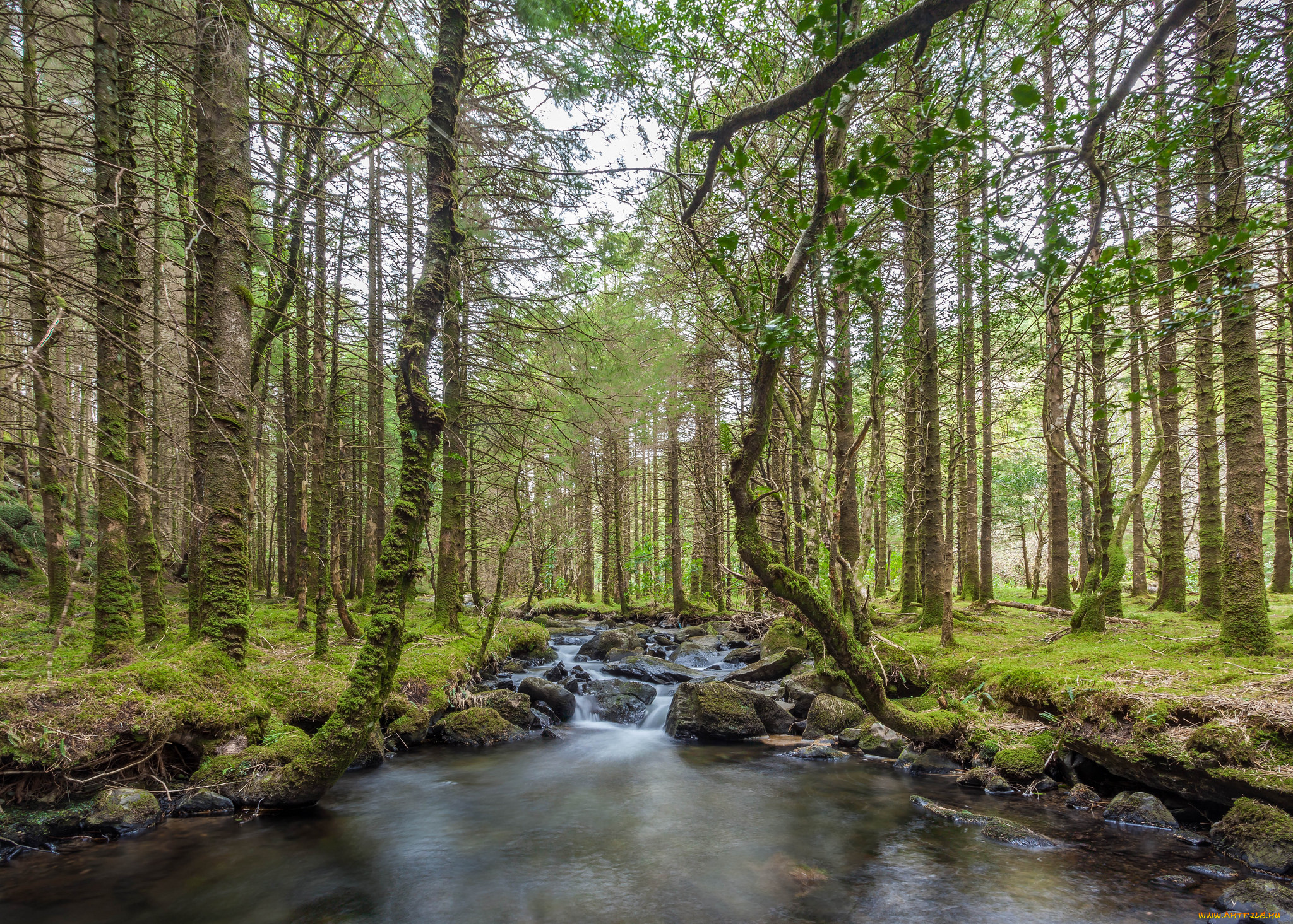 природа, реки, озера, простор