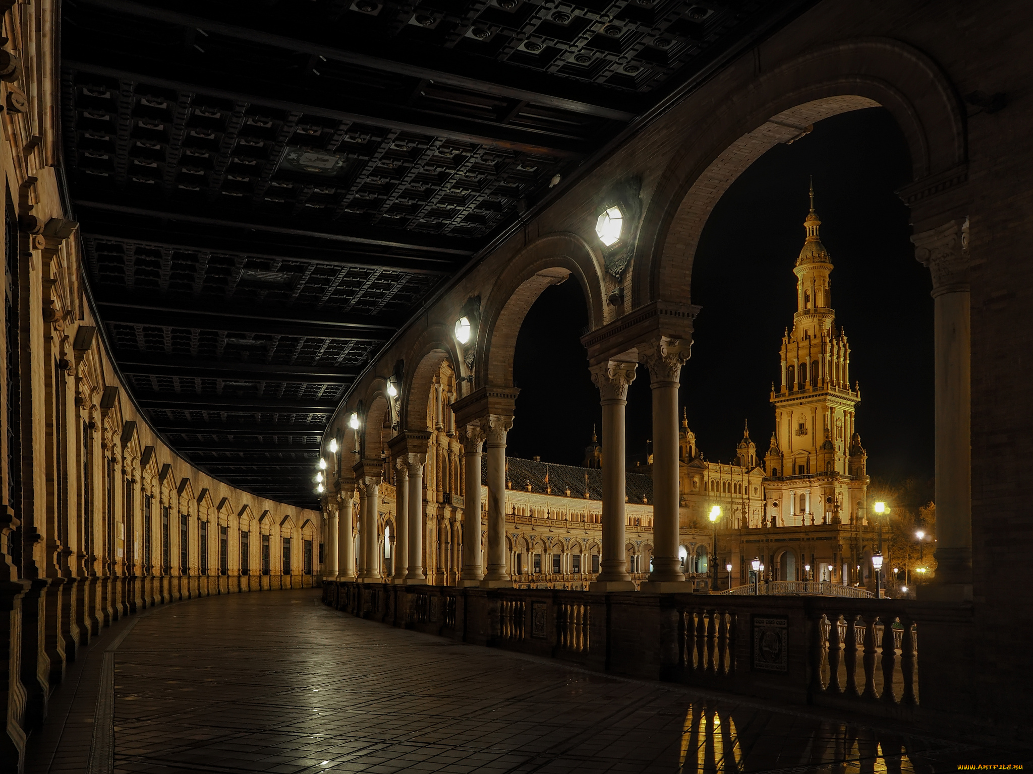 города, -, огни, ночного, города, простор