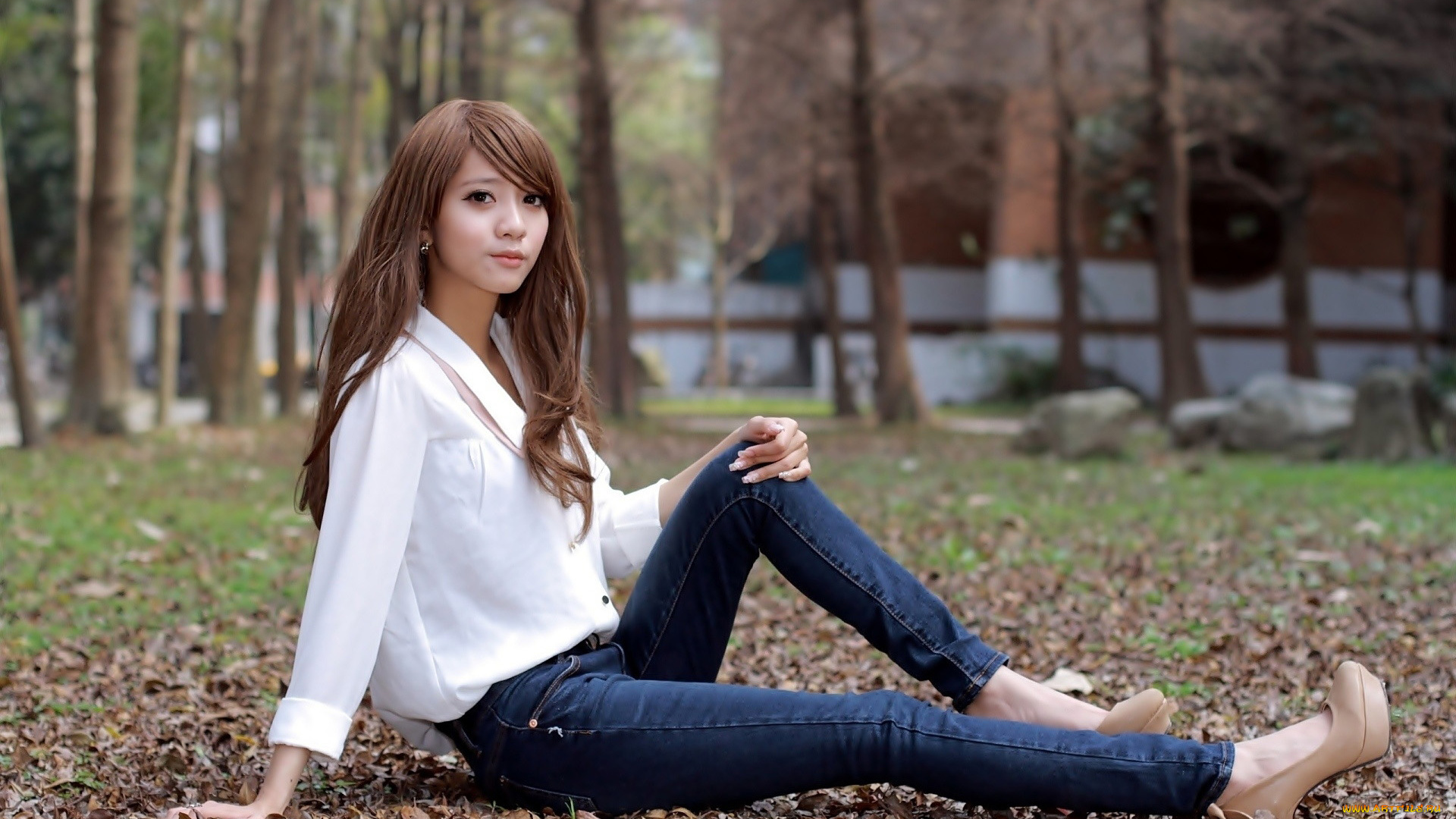 девушки, -, азиатки, парк, осень, листья