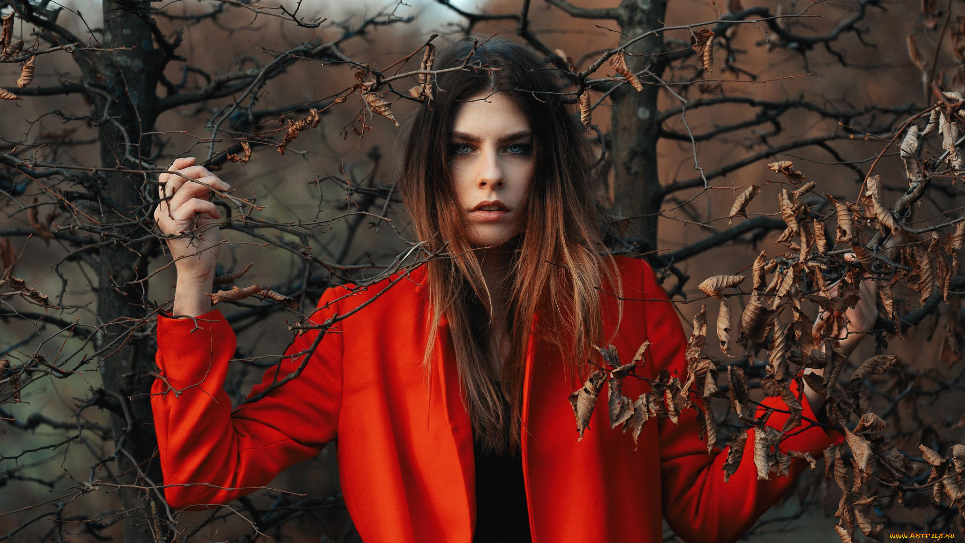 девушки, -, рыжеволосые, и, разноцветные, осень, ветки, листья