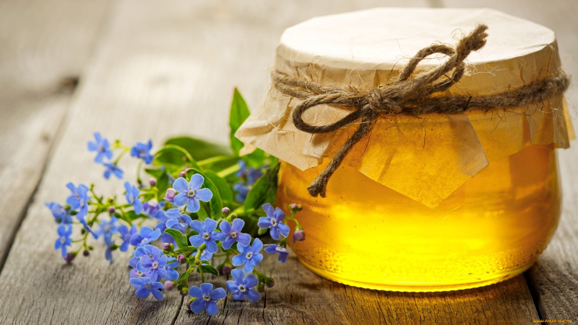 еда, мёд, , варенье, , повидло, , джем, незабудки, мед, янтарный, банка