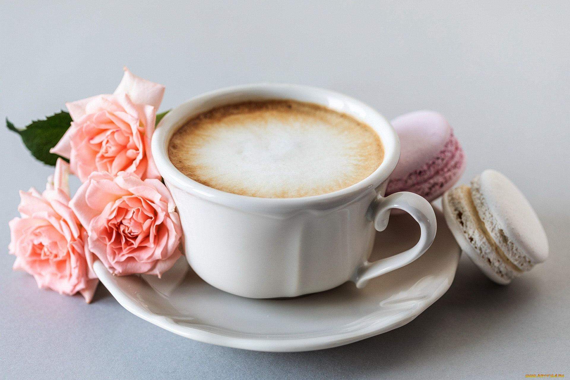 еда, кофе, , кофейные, зёрна, розы, чашка, макаруны