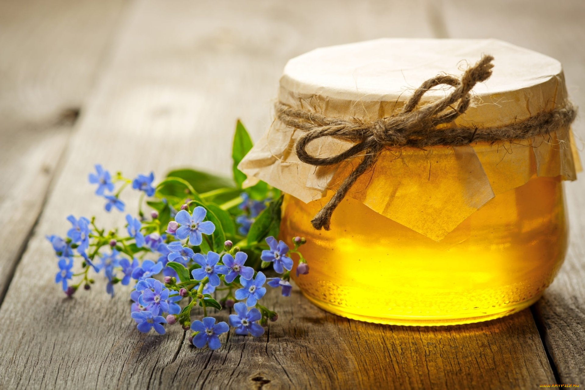 еда, мёд, , варенье, , повидло, , джем, незабудки, мед, янтарный, банка