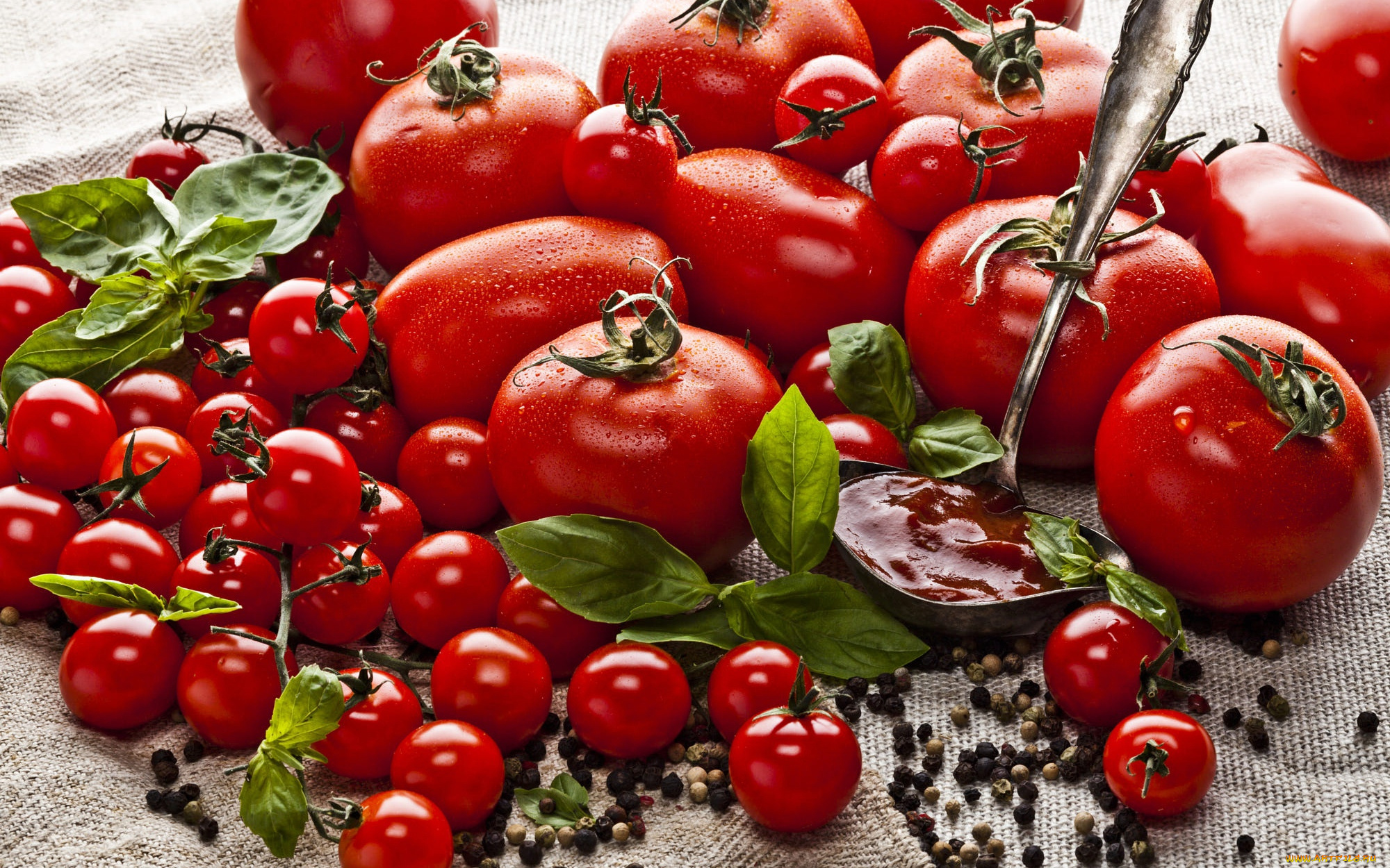 еда, помидоры, томаты, ассорти