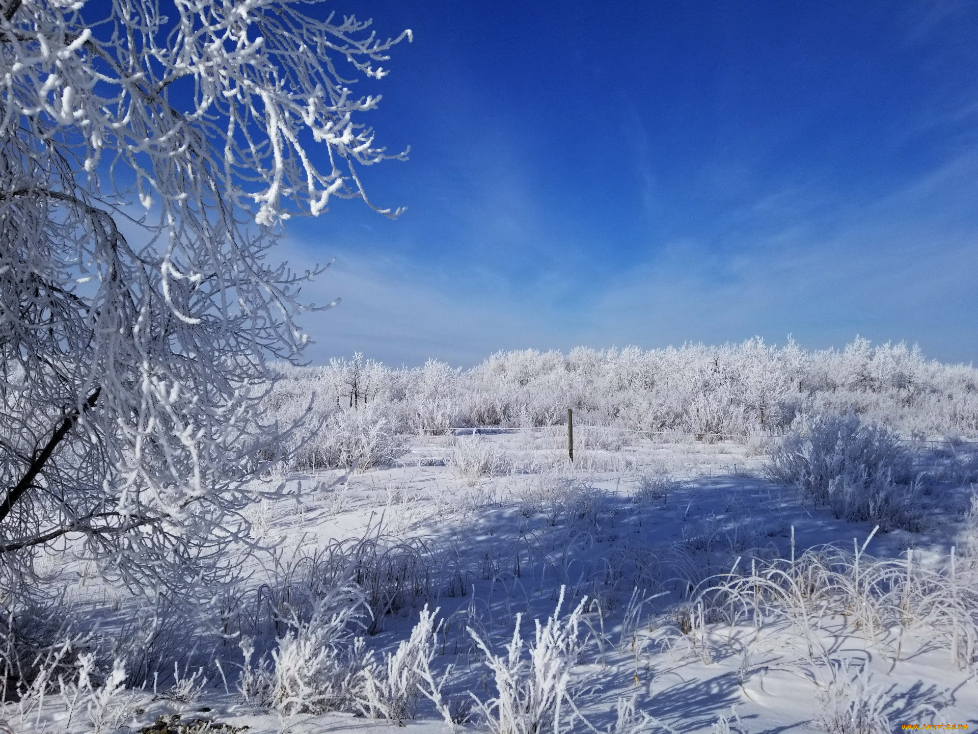 природа, зима, сугробы, снег