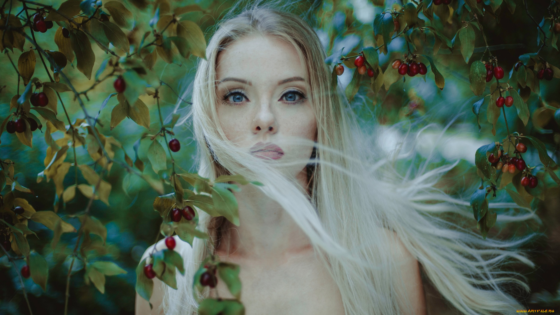 девушки, -, лица, , портреты, zuzanna, korzeniewska