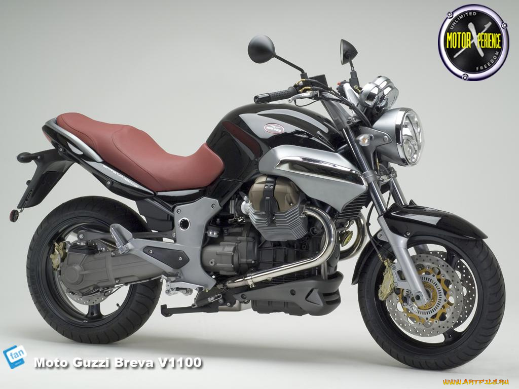 moto, guzzi, breva, мотоциклы