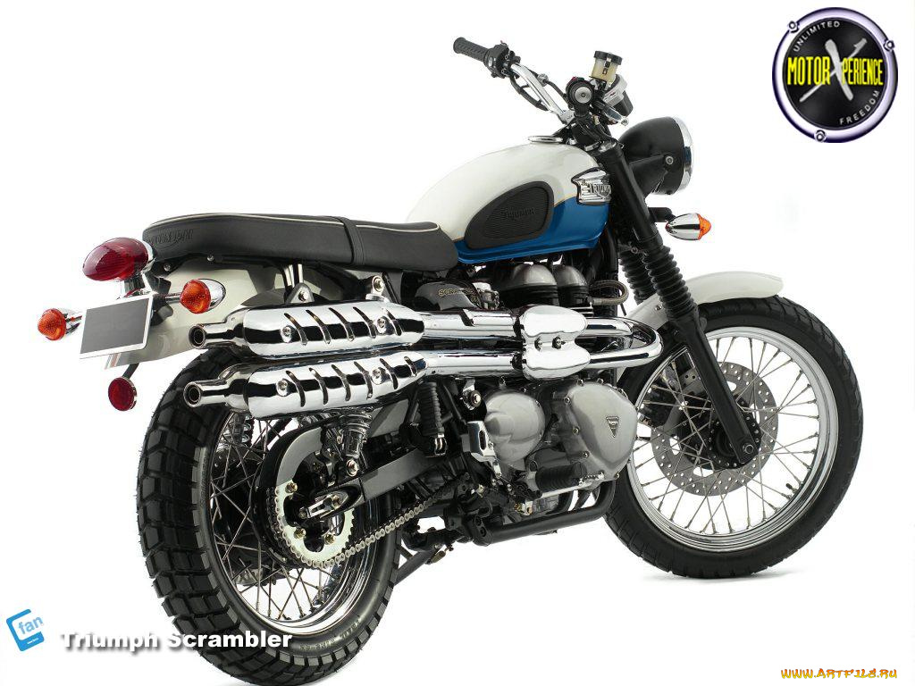 triumph, scrambler, мотоциклы