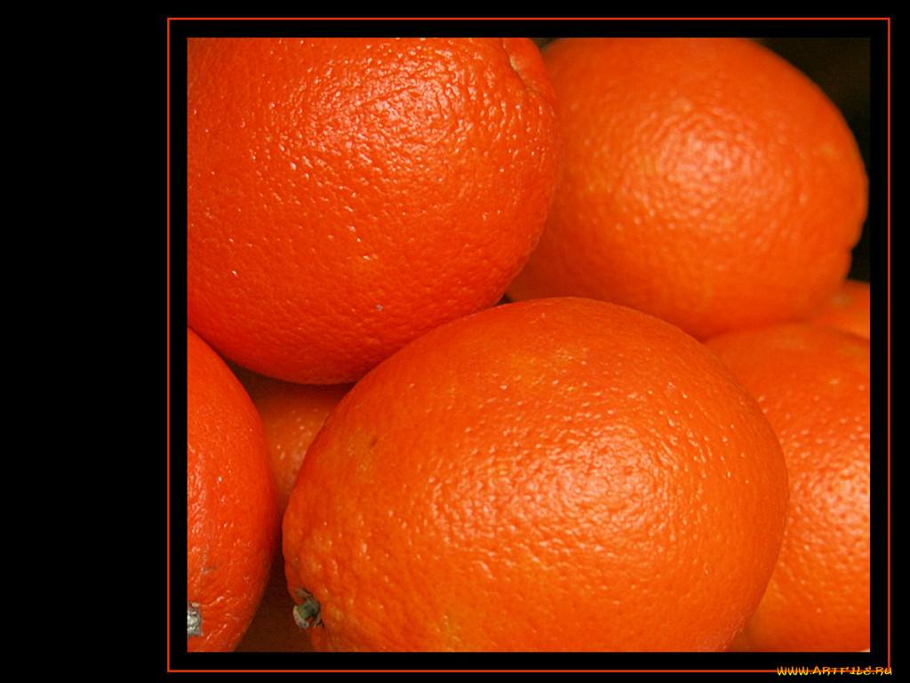 еда, цитрусы