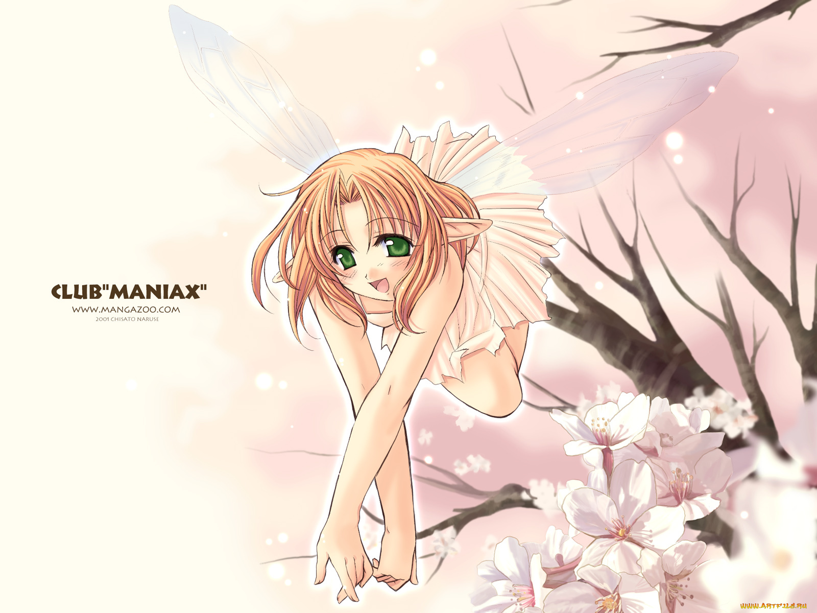 аниме, club, `maniax`