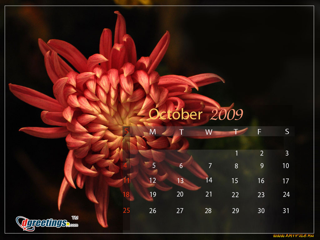 календари, цветы