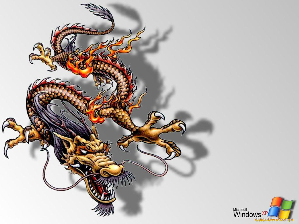 компьютеры, windows, xp