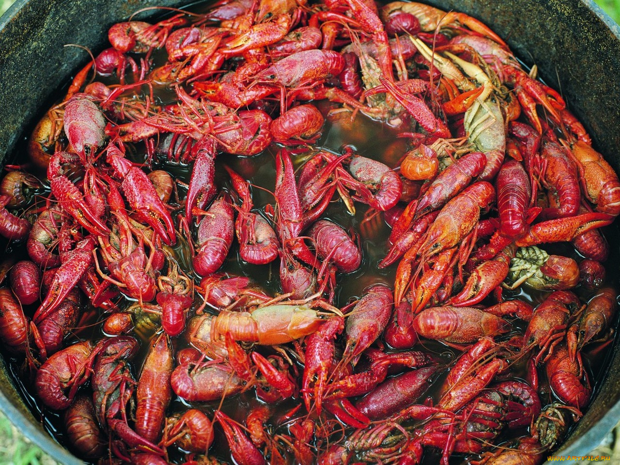 еда, рыба, морепродукты, суши, роллы