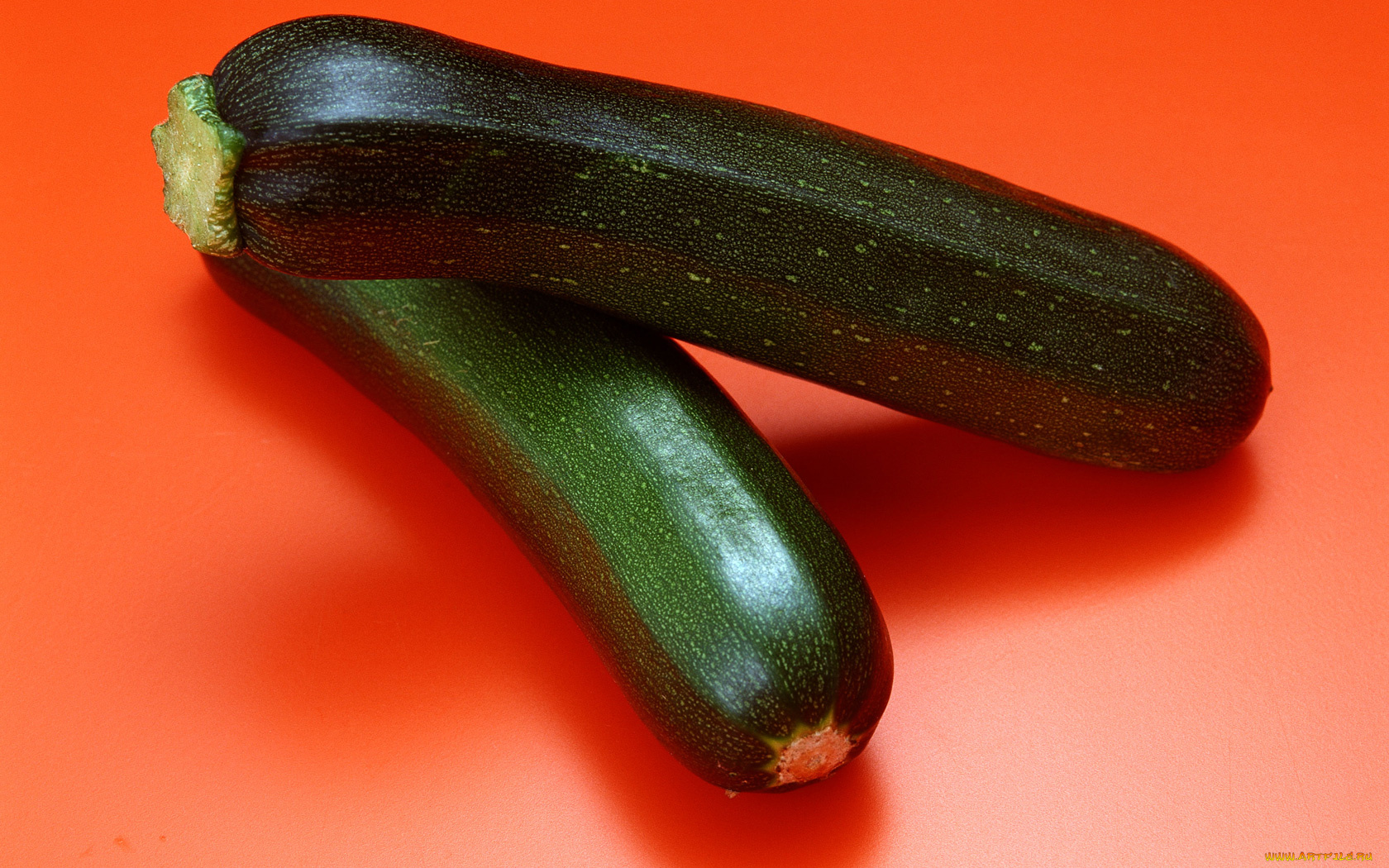 еда, кабачки, цуккини, патиссоны