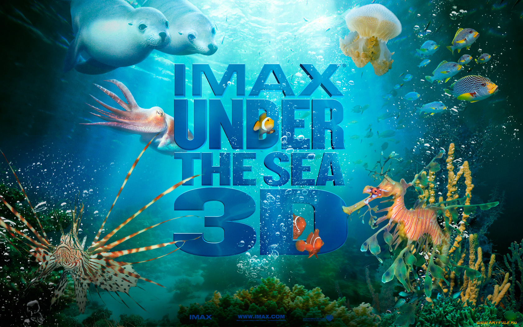 кино, фильмы, under, the, sea, 3d
