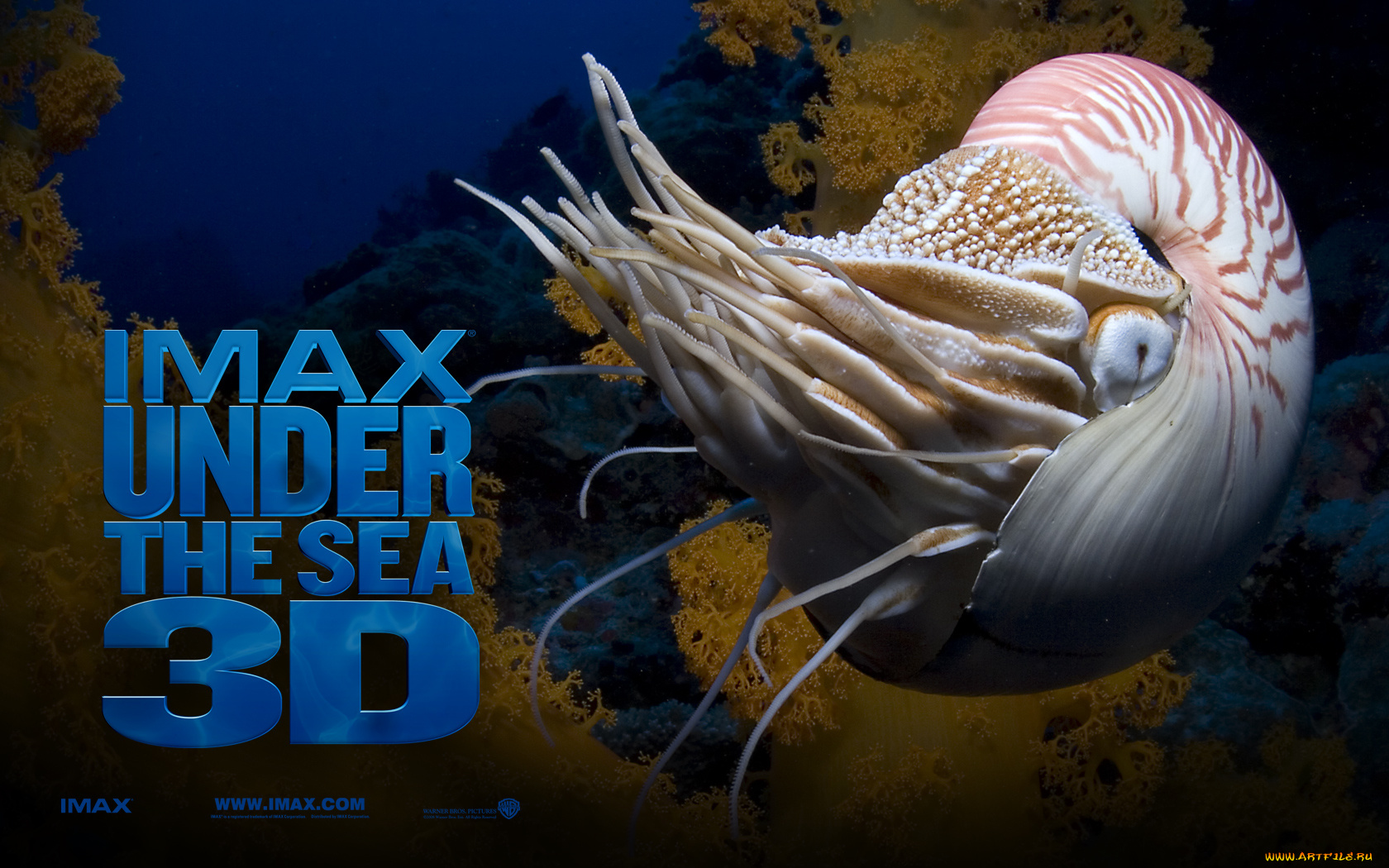 кино, фильмы, under, the, sea, 3d