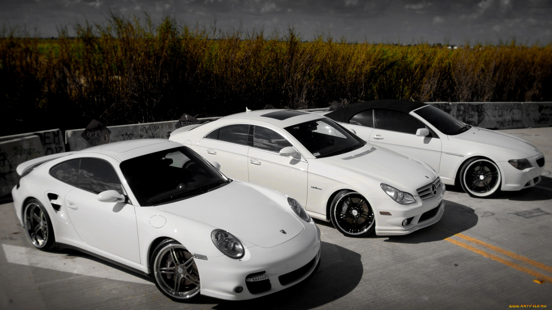 автомобили, разные, вместе