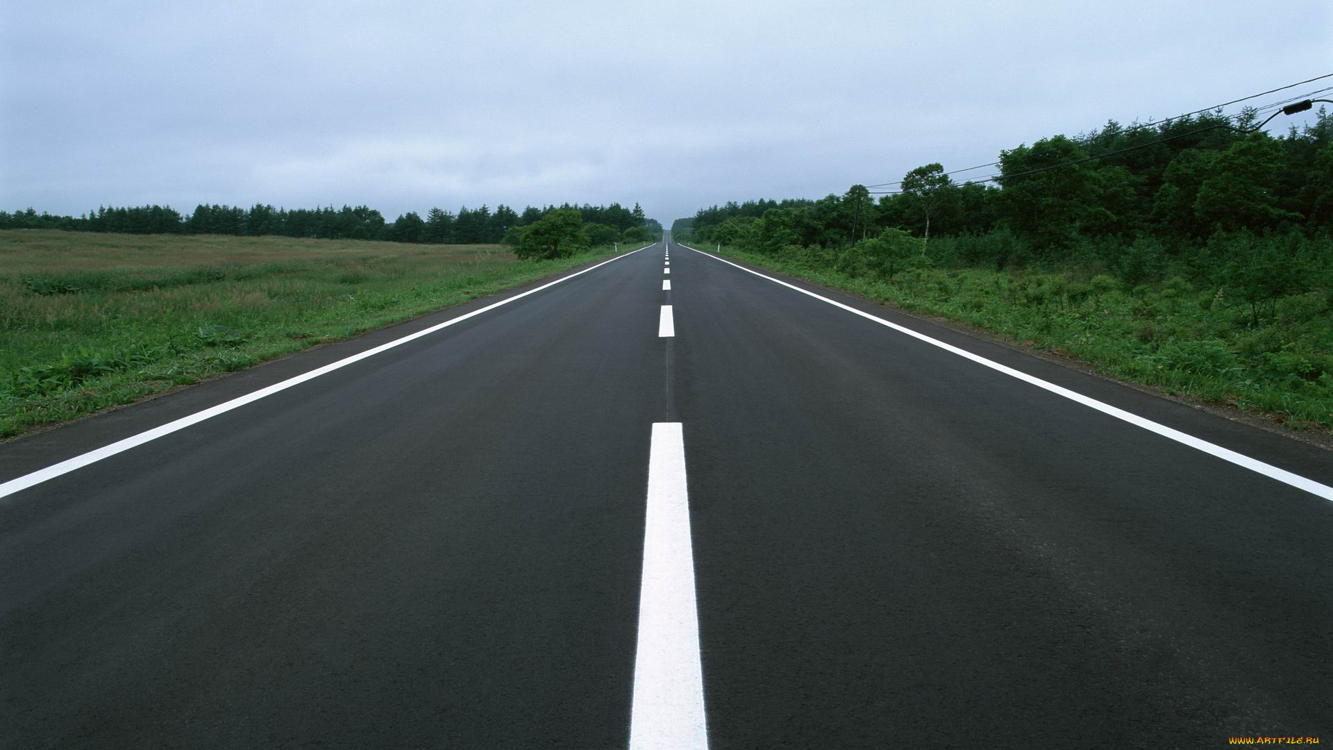 природа, дороги