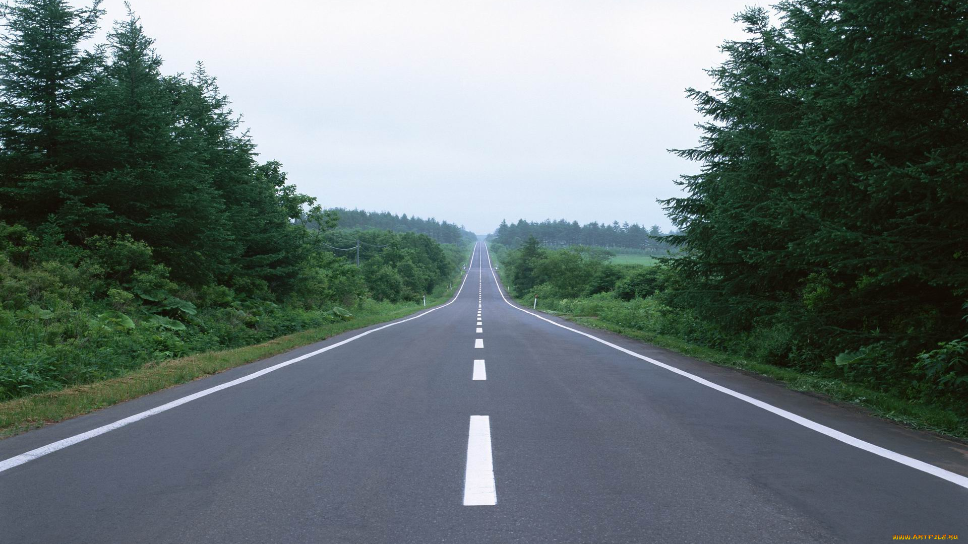 природа, дороги