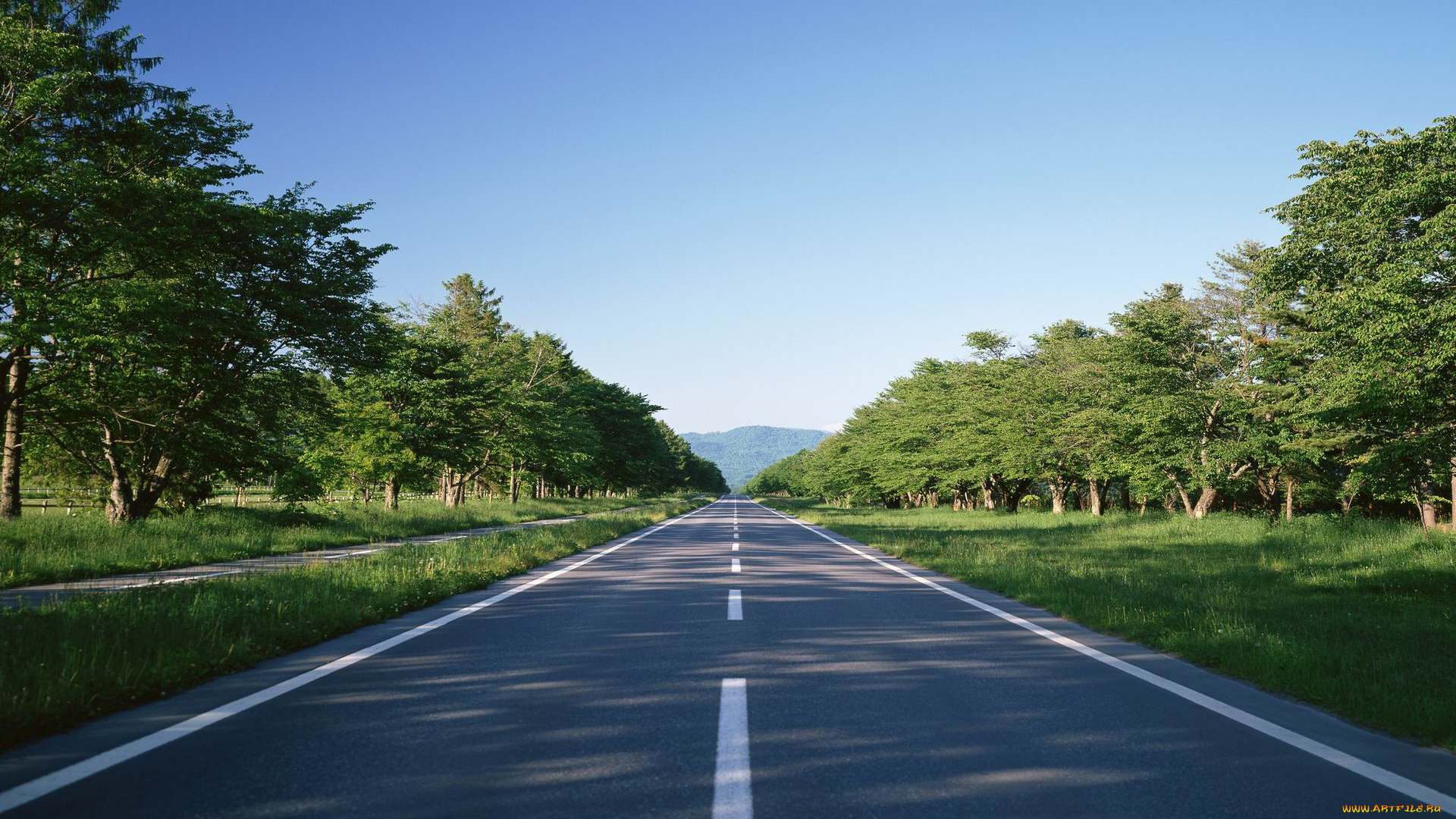 природа, дороги