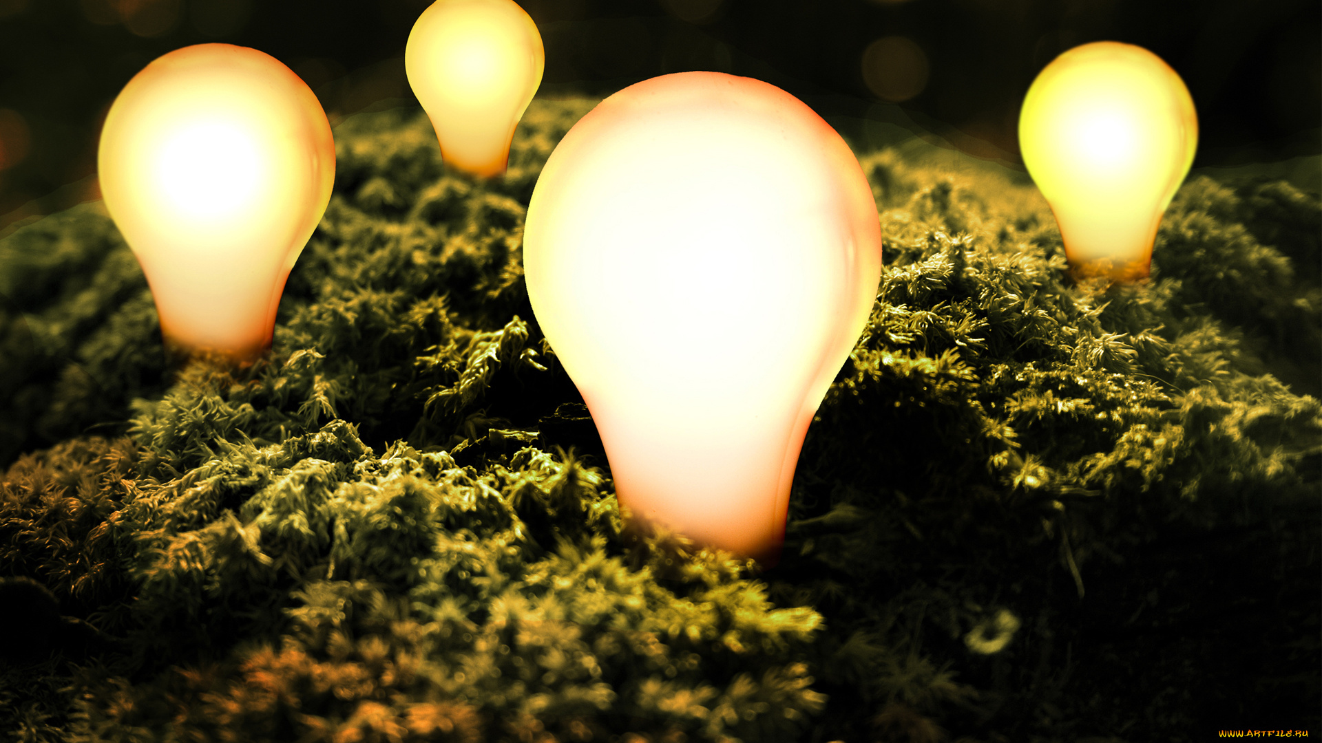 разное, осветительные, приборы