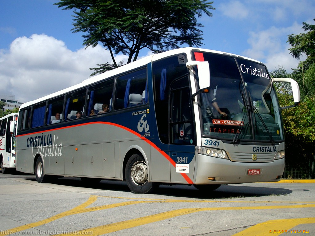 автомобили, автобусы