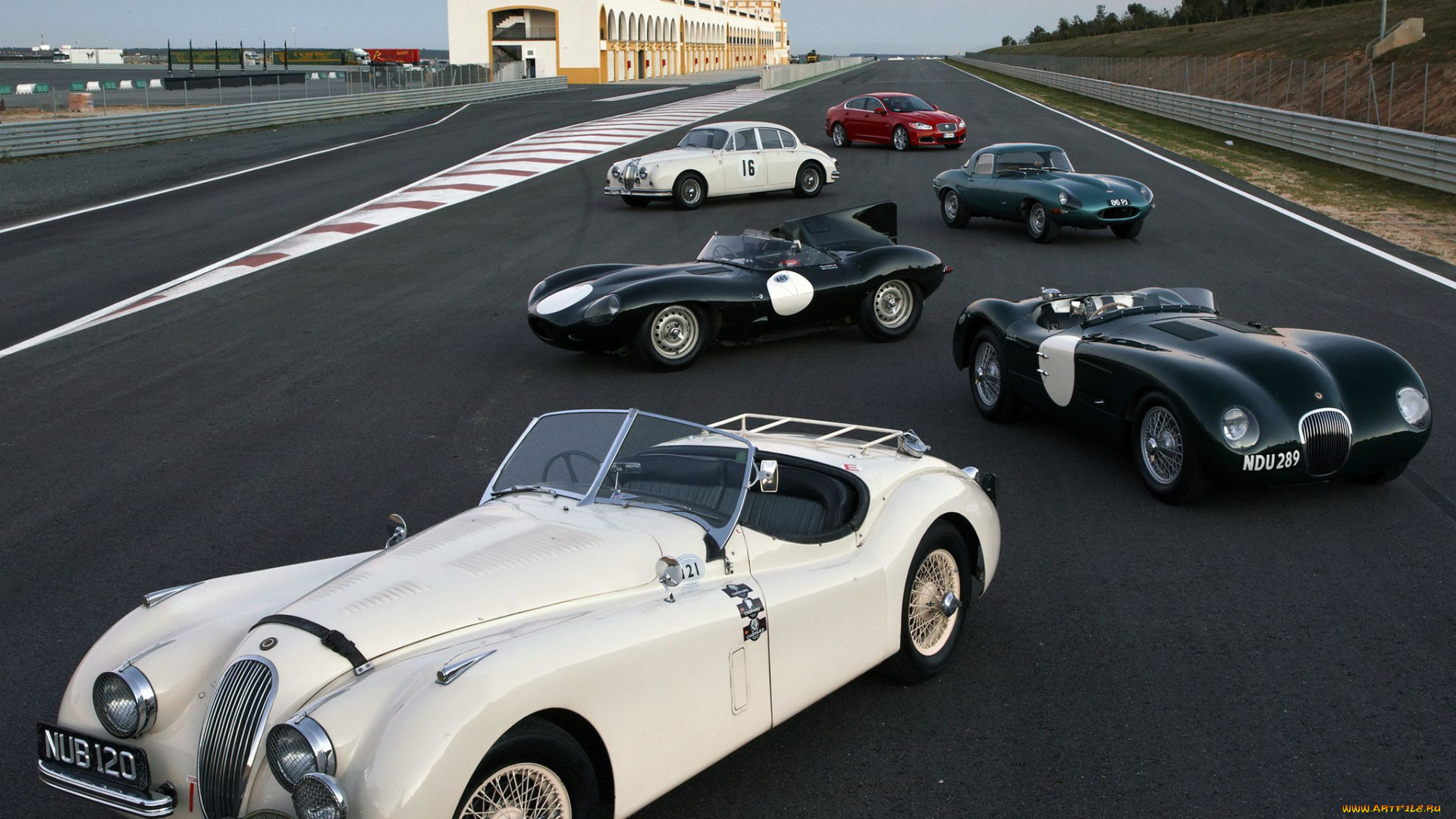 автомобили, jaguar