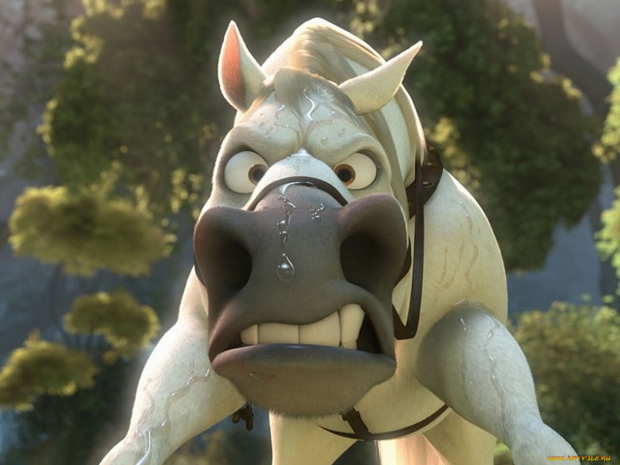 мультфильмы, tangled