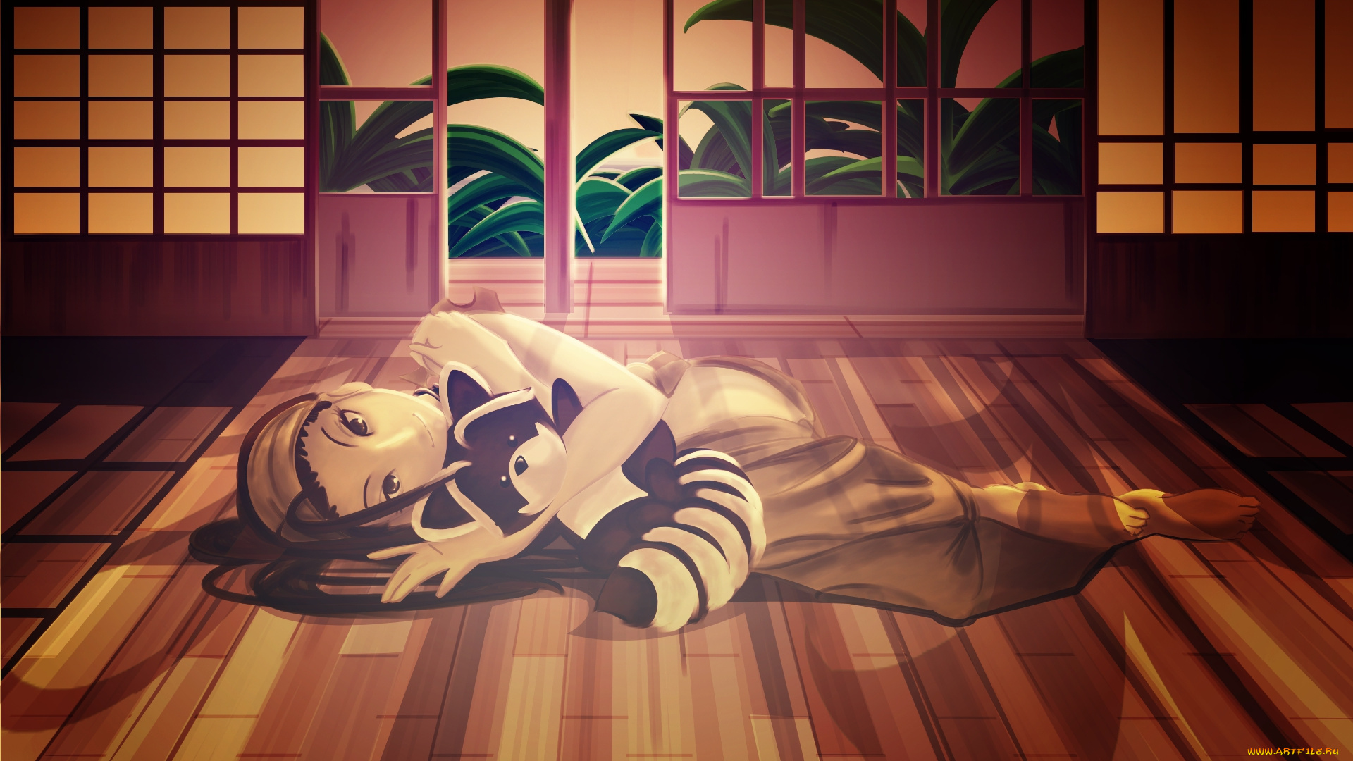 street, fighter, аниме