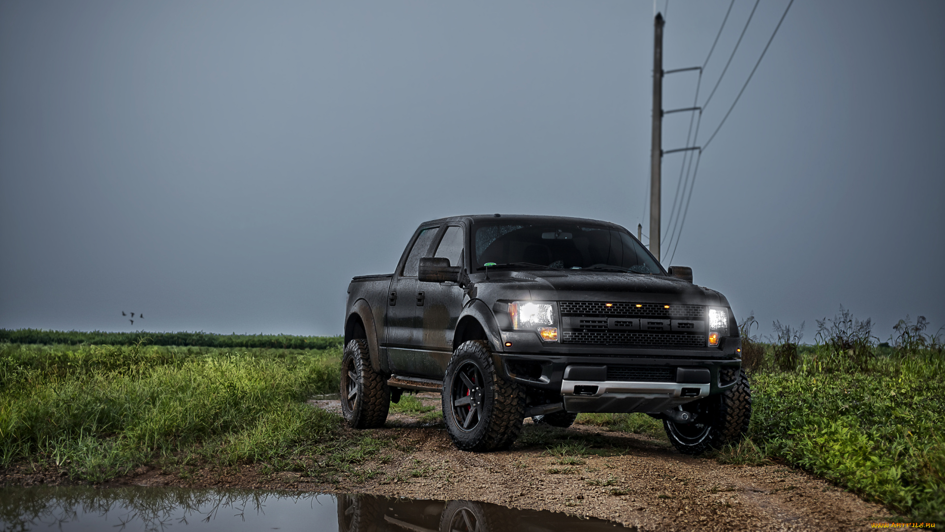 автомобили, ford, авто