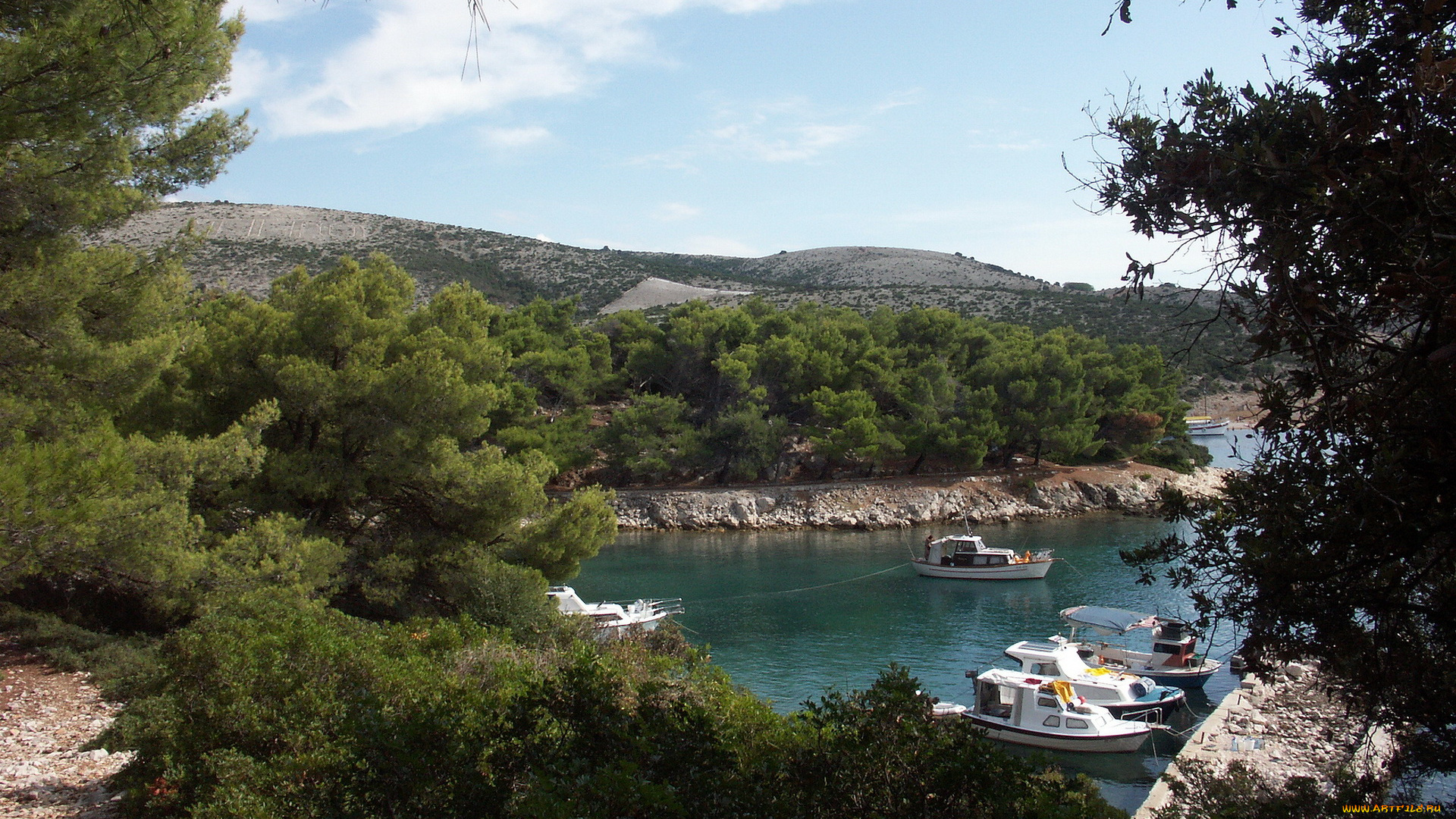 корабли, катера, река, берег