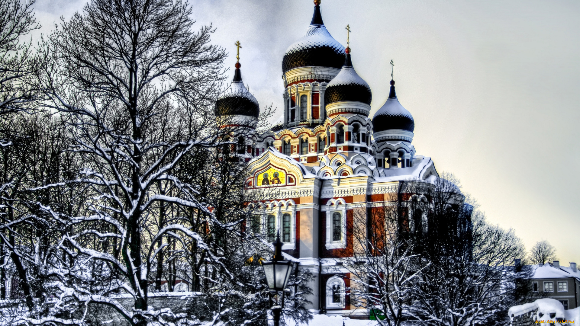 alexander, nevsky, cathedral, , tallinn, , estonia, города, таллин, , эстония, купола, деревья, tallinn, зима, alexander, nevsky, cathedral, таллин, estonia, александро-невский, собор