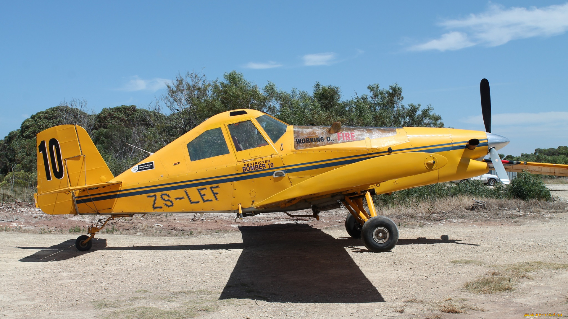 авиация, лёгкие, и, одномоторные, самолёты, служба, пожарная, патрульная