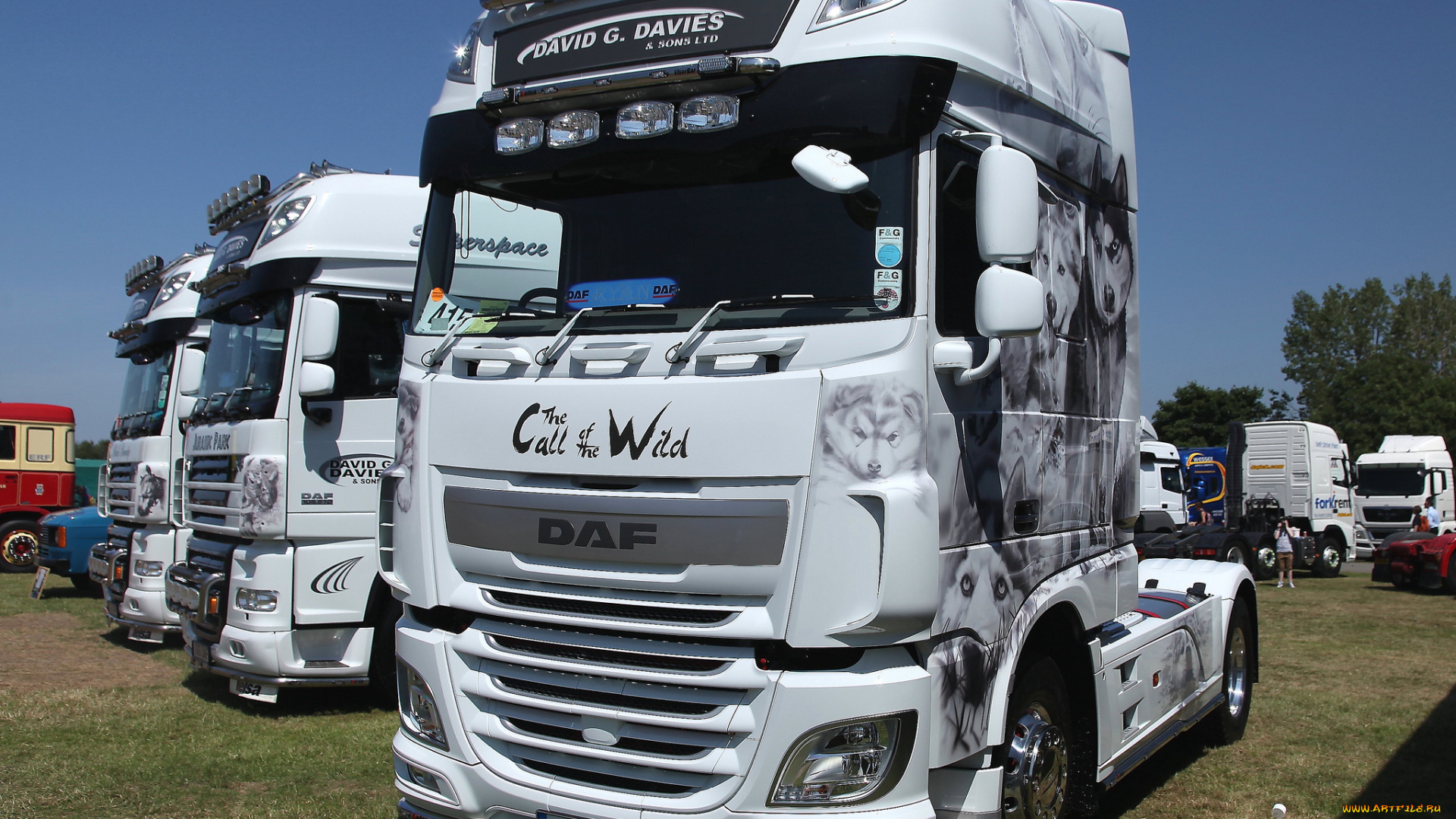 daf, автомобили, седельные, тягачи, trucks, nv, нидерланды, автобусы, шасси