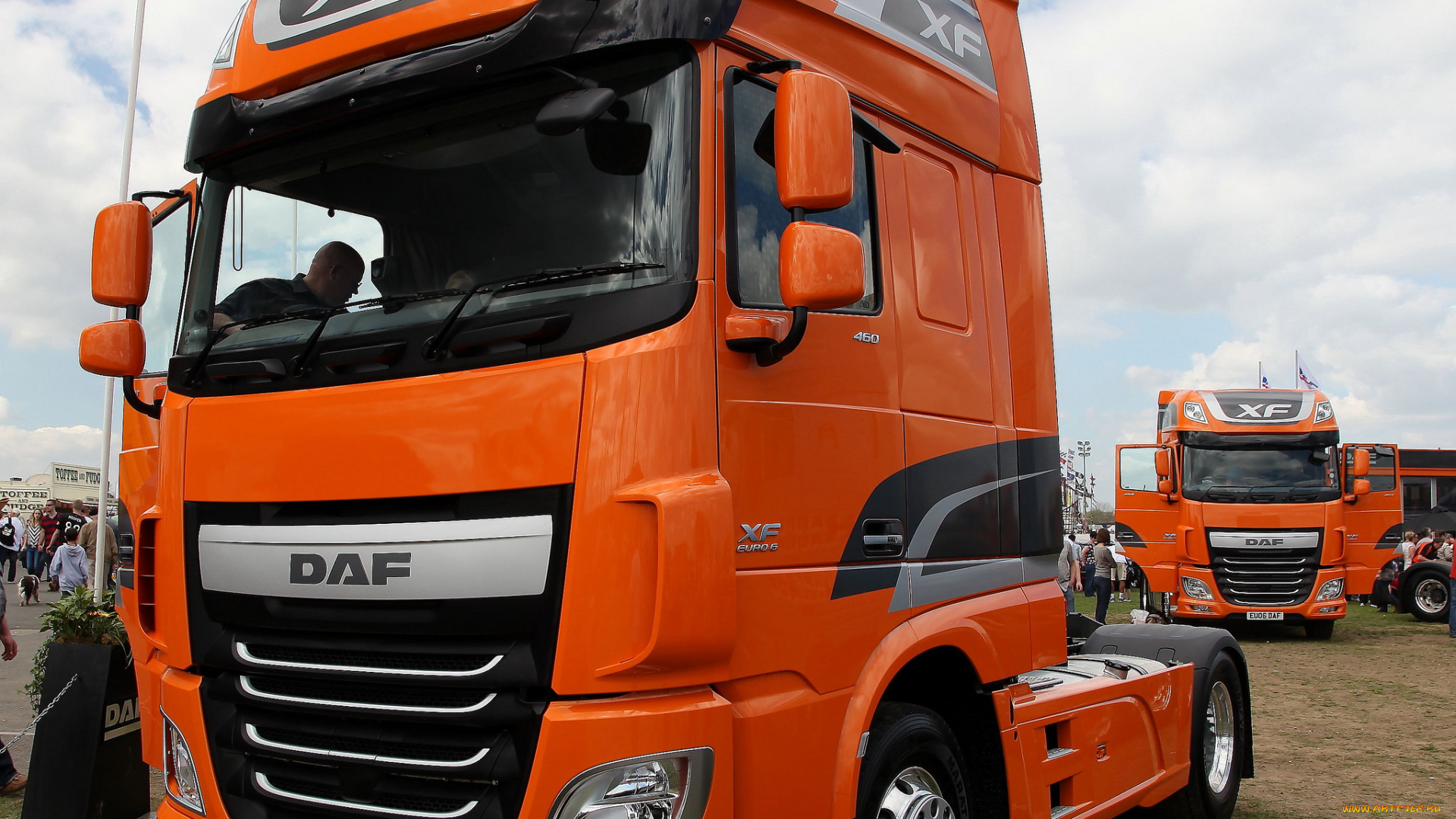 daf, автомобили, седельные, тягачи, trucks, nv, нидерланды, автобусы, шасси
