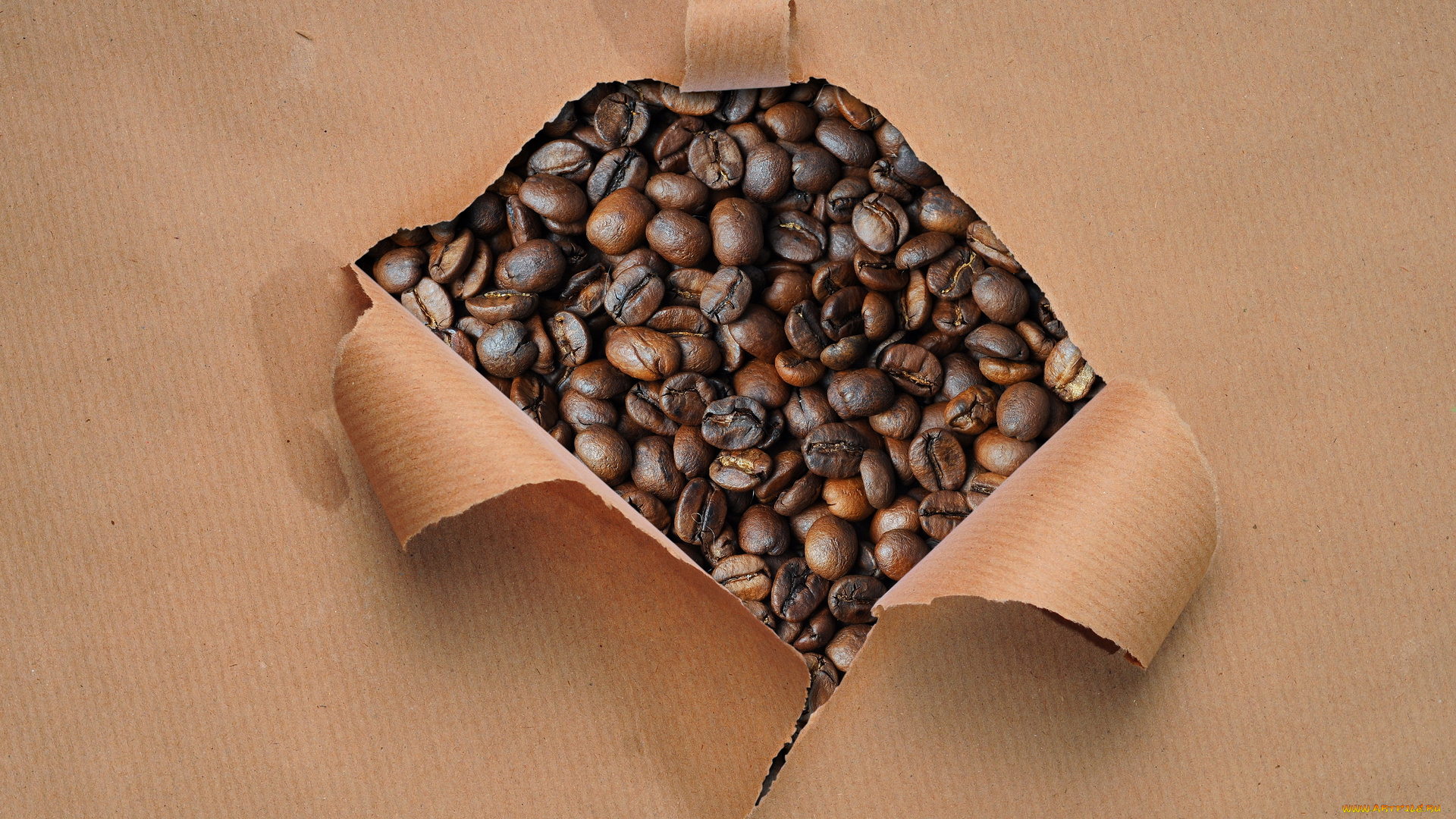 еда, кофе, , кофейные, зёрна